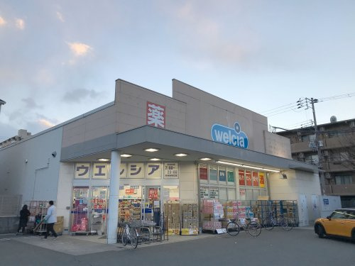 の画像