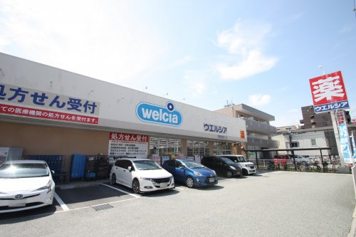 の画像
