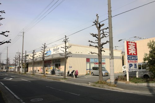 の画像