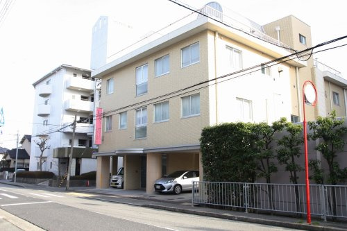 の画像