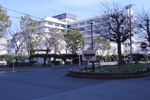 の画像