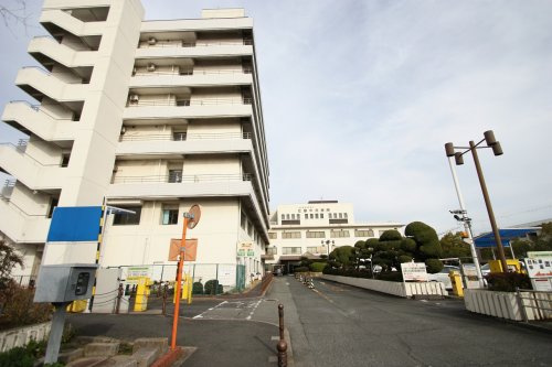 の画像