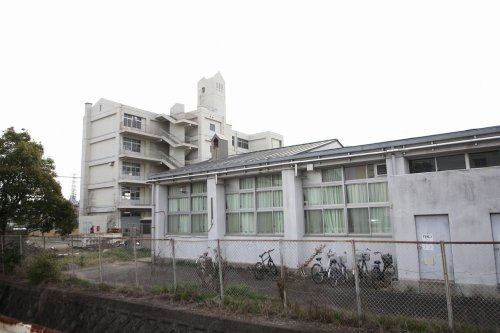 の画像