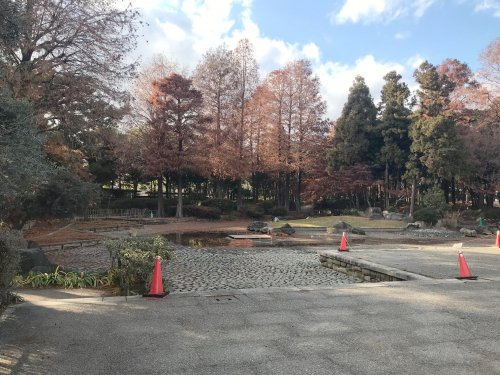 近松公園の画像