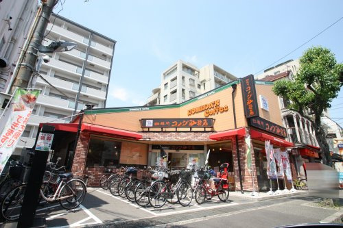 の画像