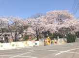 東平幼稚園