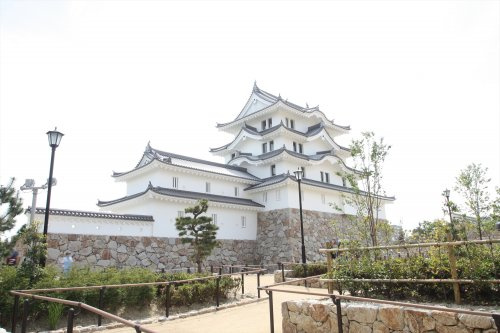 の画像