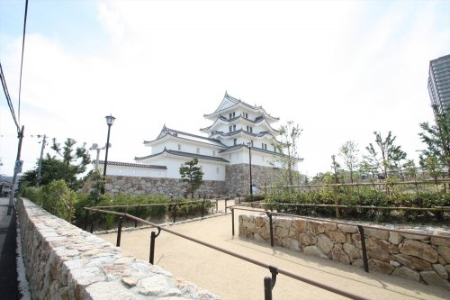 の画像