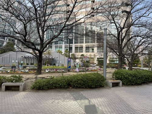 晴海第三公園