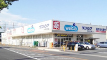 ウエルシア小川町店