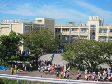 金町小学校の画像1