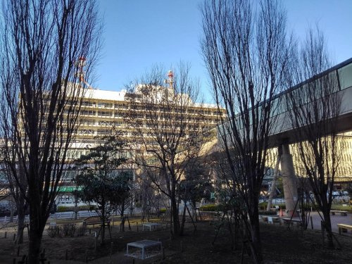 の画像