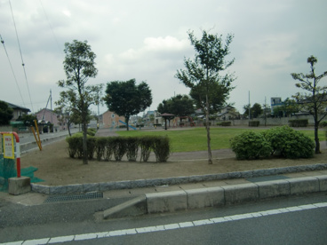 中泉けやき公園の画像1