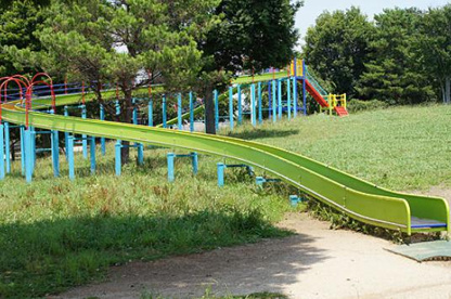 春岡中央公園の画像1