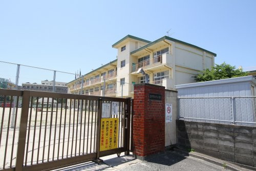 の画像