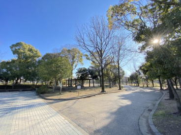 岸和田市中央公園の画像1