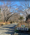 みずくらいど公園