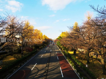 国立大学通りの画像2