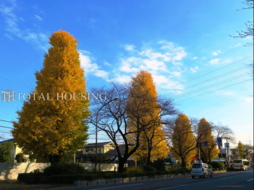 国立大学通りの画像3