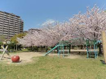 東港公園