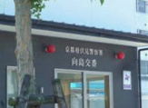 伏見警察署 向島交番