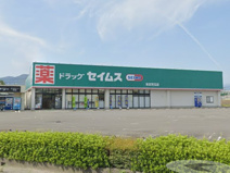 ドラッグセイムス本庄児玉店
