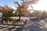 中鳥井南児童公園