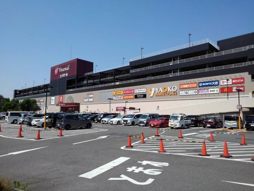 の画像
