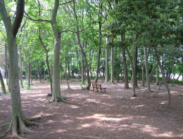 中野久木散策の森の画像1