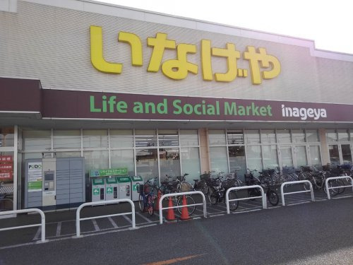 の画像