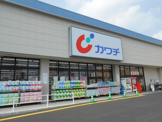 カワチ薬品 結城北店