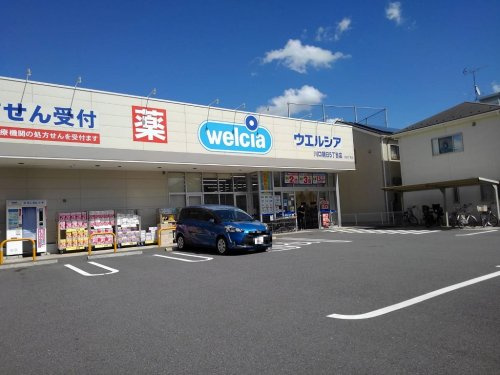 の画像