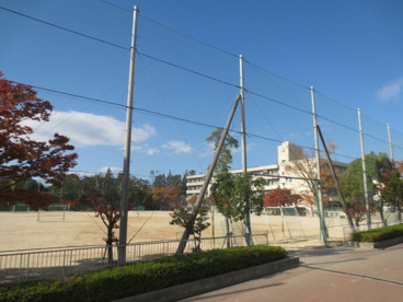 箕面市立第６中学校の画像1