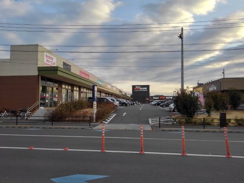の画像