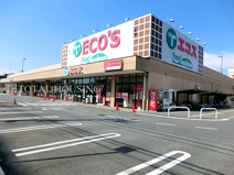 エコス TAIRAYA(タイラヤ) 小平店