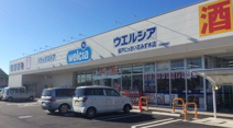 ウエルシア坂戸にっさい花みず木店