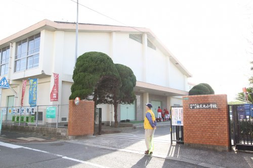 の画像