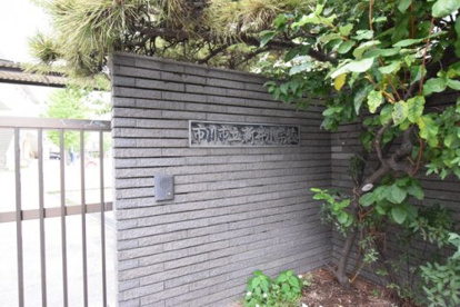 市川市立新井小学校の画像1