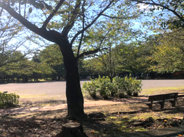 鴻巣公園の画像1