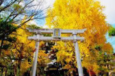 三栖神社の画像1