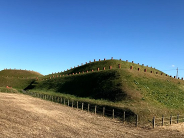 さきたま古墳公園の画像1