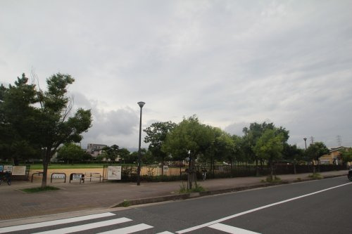の画像