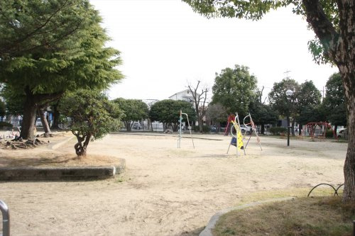 の画像