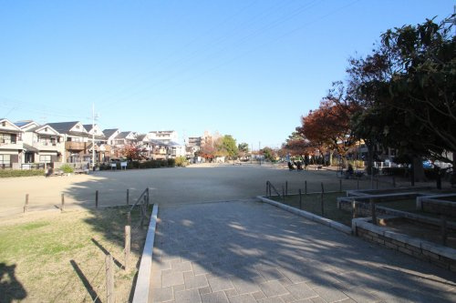 若松公園の画像