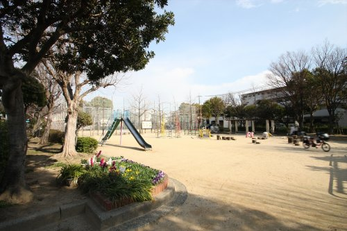 の画像