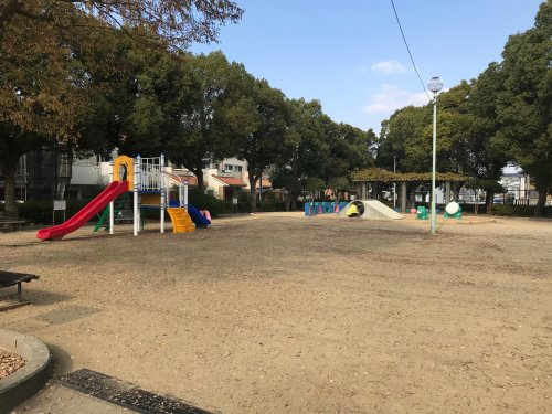 の画像