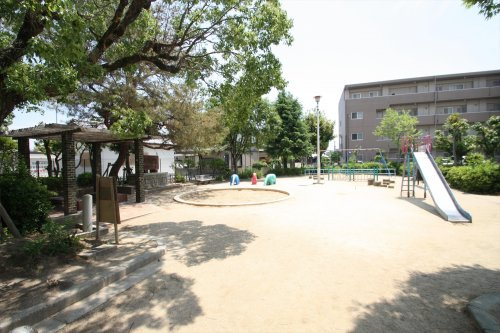 の画像