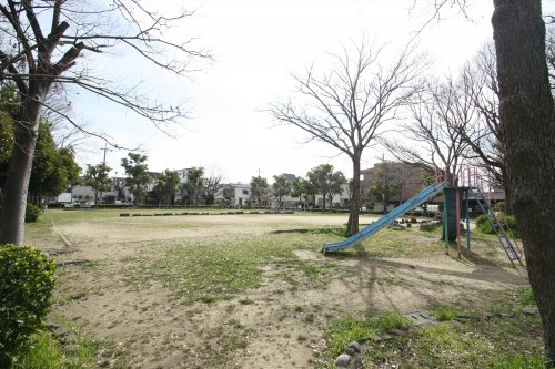 の画像