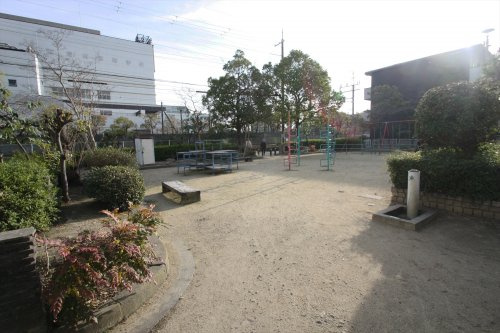 の画像