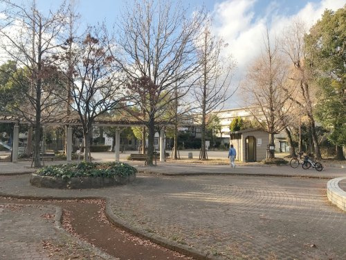 の画像